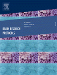 Go to journal home page - Brain Research Protocols